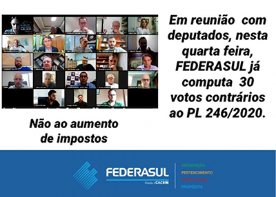 Reunião online com deputados.