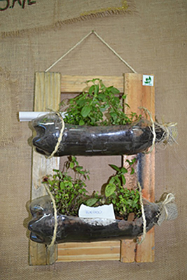 Mini-horta